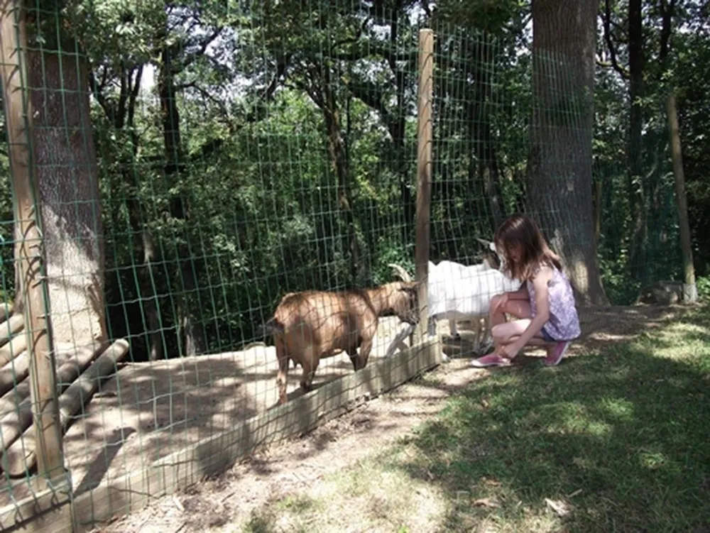 Camping*** Domaine Saint-laurent  