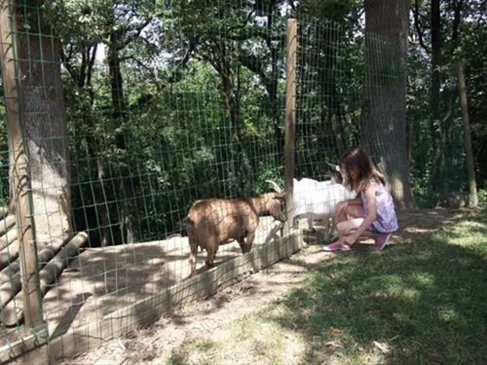 Camping*** Domaine Saint-laurent  