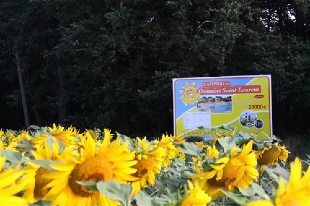 Camping*** Domaine Saint-laurent  