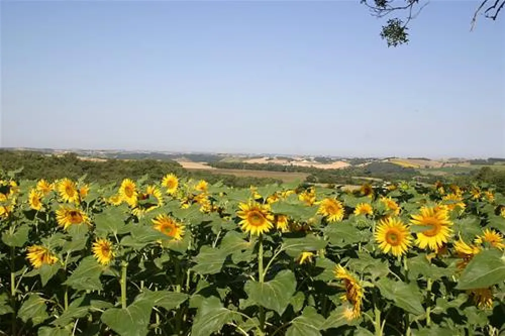 Camping*** Domaine Saint-laurent  