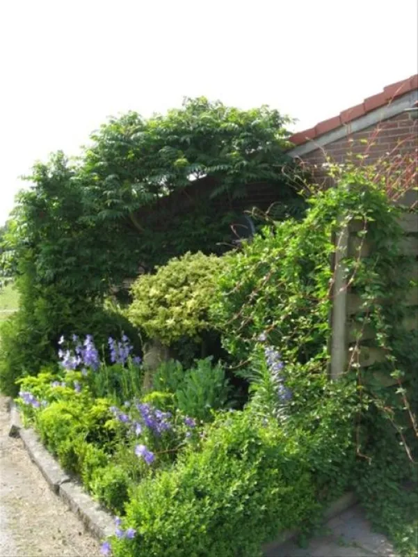 Camping De Peelweide