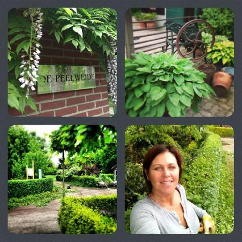 Camping De Peelweide