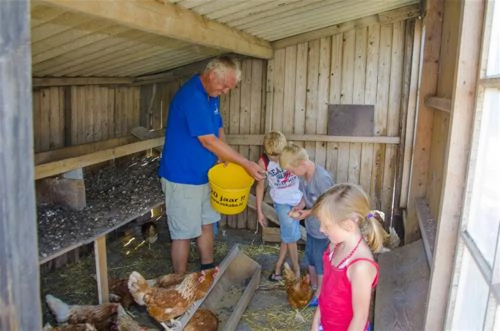 Minicamping Boogaard