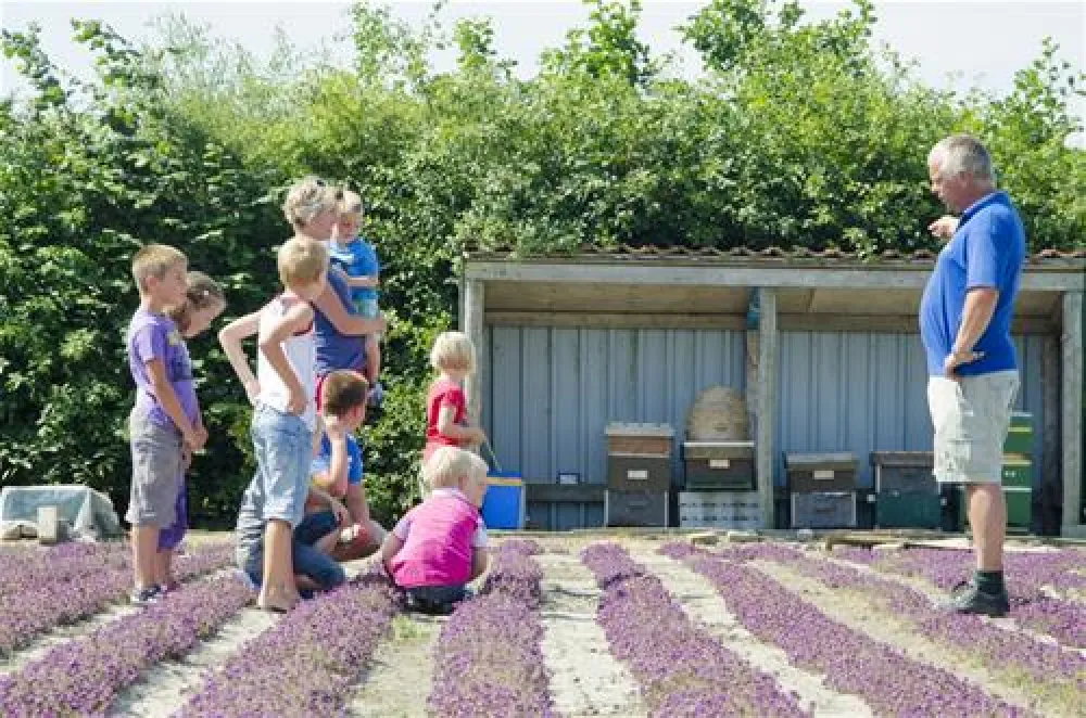 Minicamping Boogaard