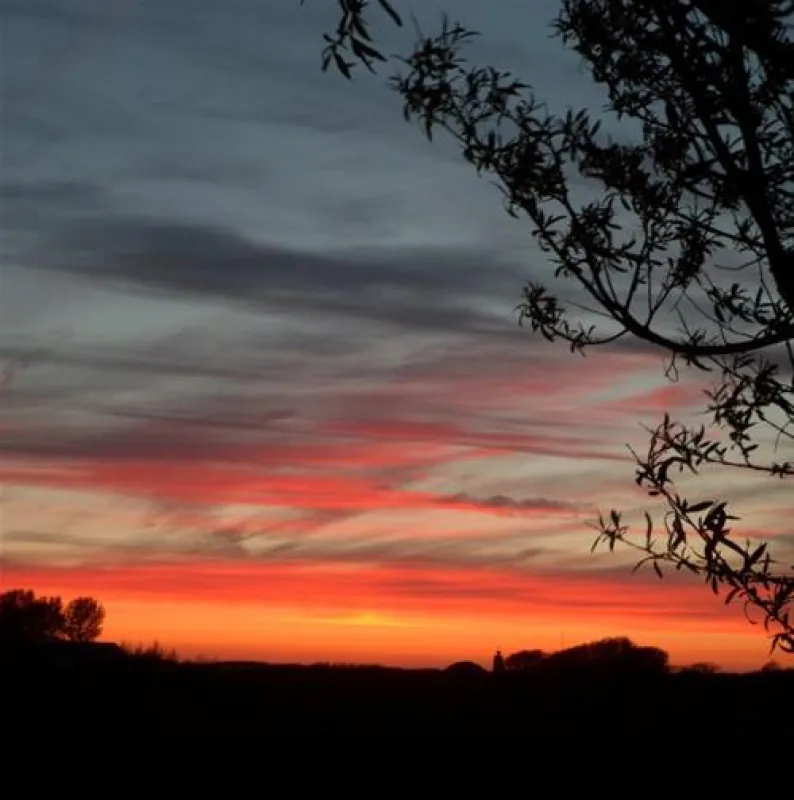 Minicamping Boogaard