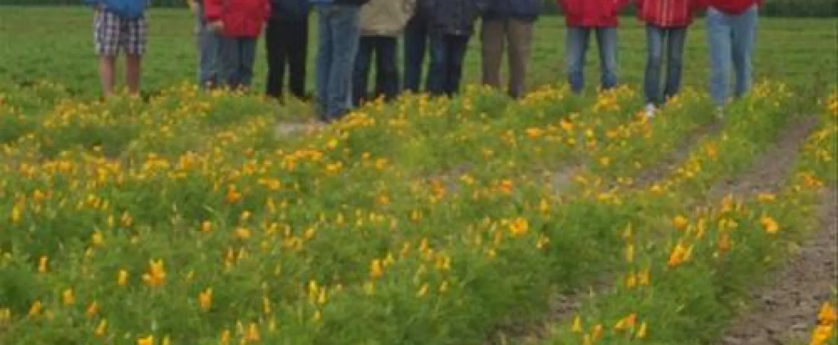 Minicamping Boogaard