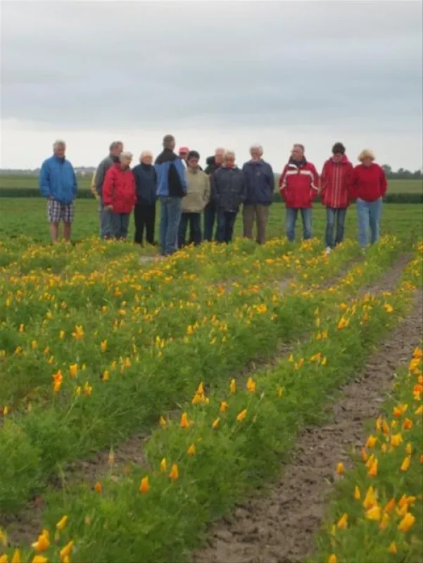 Minicamping Boogaard