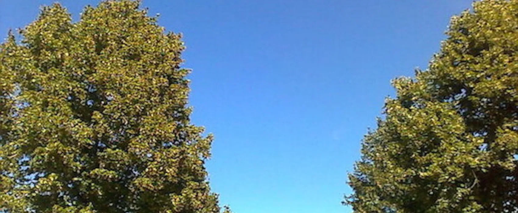 Camping Municipal Croix Badeau