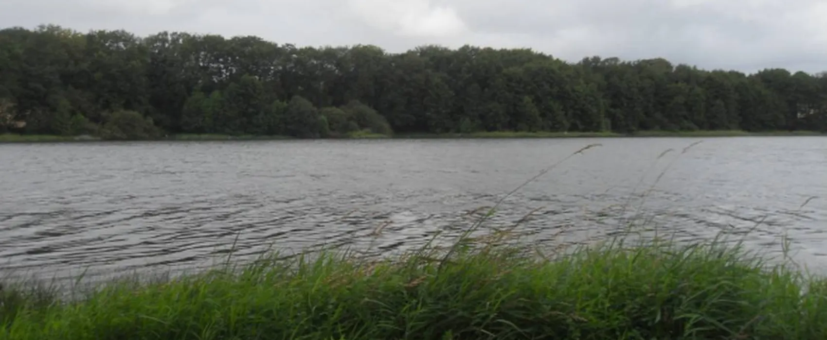 Camping Municipal d'Herculat