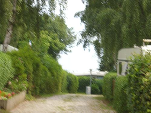 Camping Falckenstein in Deutschland - Spottocamp - Spottocamp