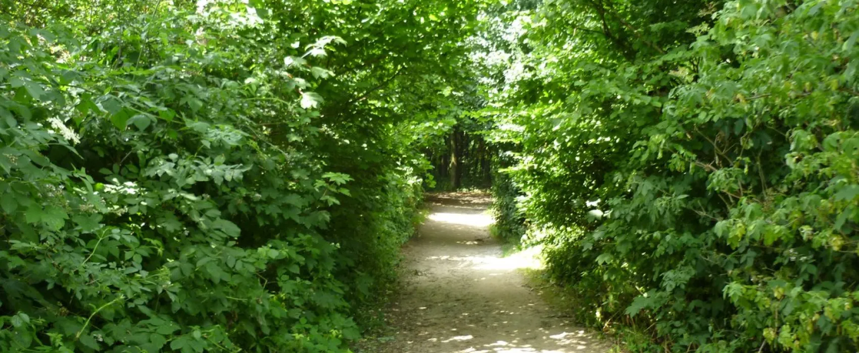 Camping Falckenstein