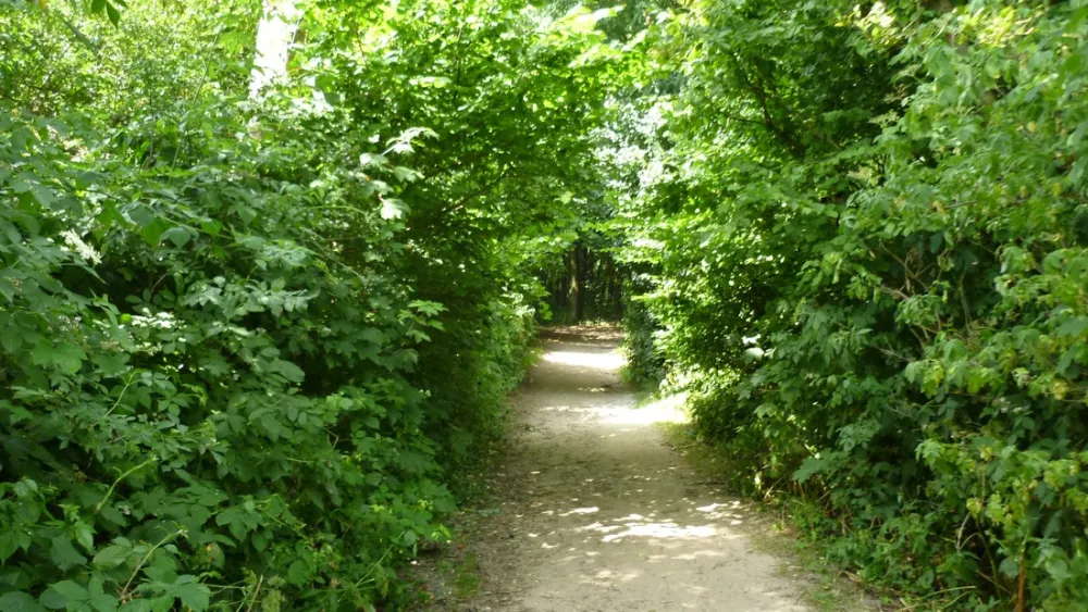 Camping Falckenstein