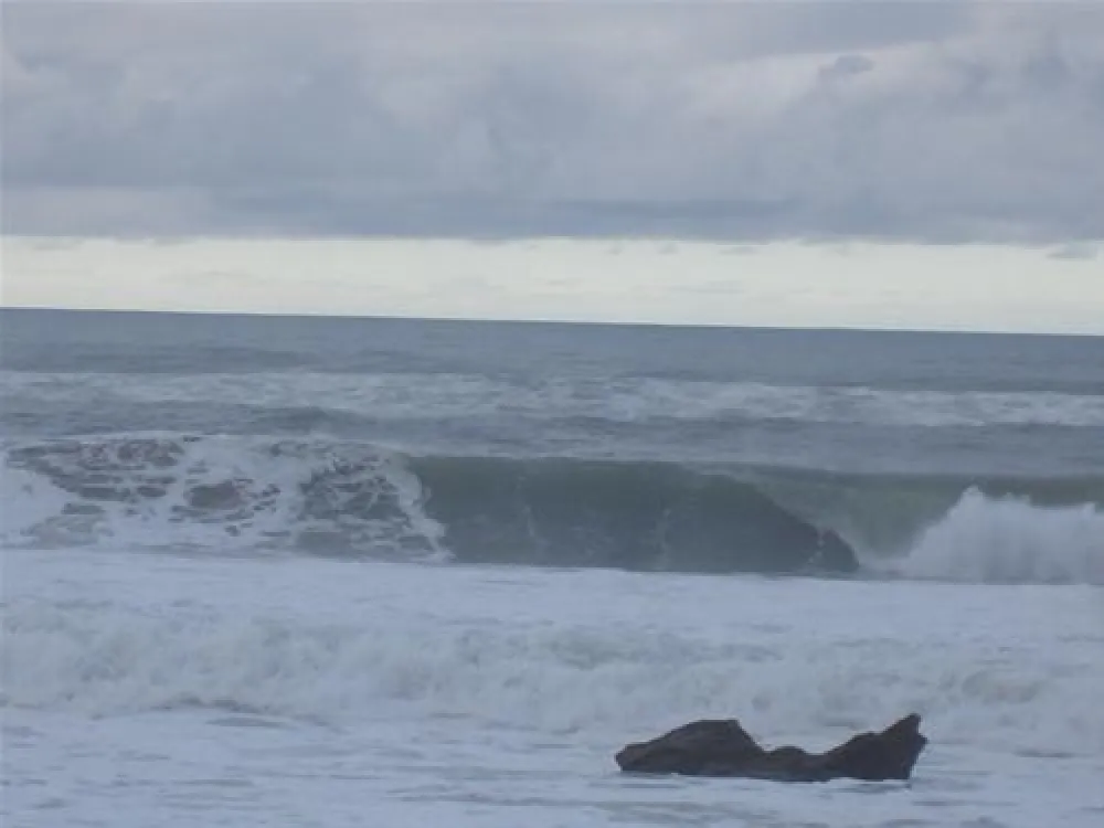 Parque de Campismo de S. Pedro de Muel / Orbitur
