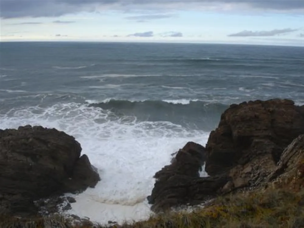 Parque de Campismo de S. Pedro de Muel / Orbitur