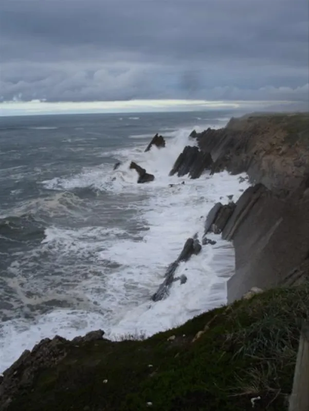 Parque de Campismo de S. Pedro de Muel / Orbitur