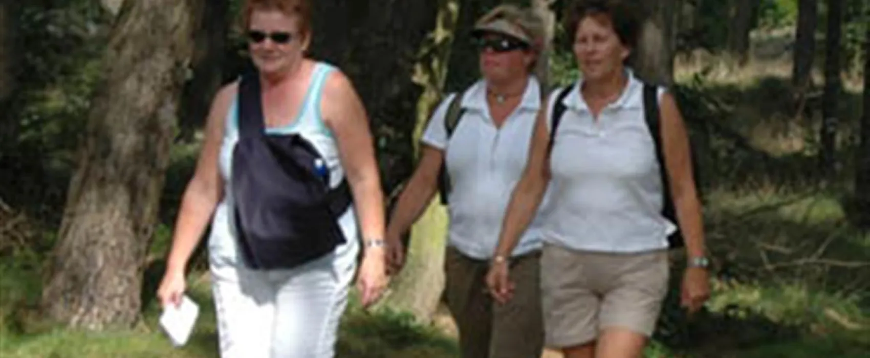 Camping De Zwarte Bergen