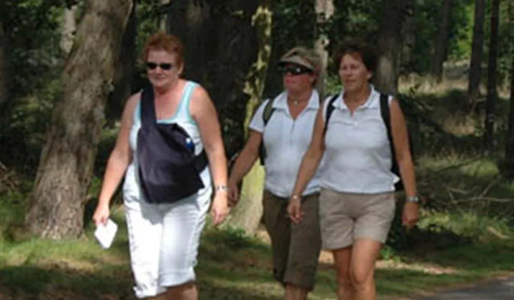 Camping De Zwarte Bergen