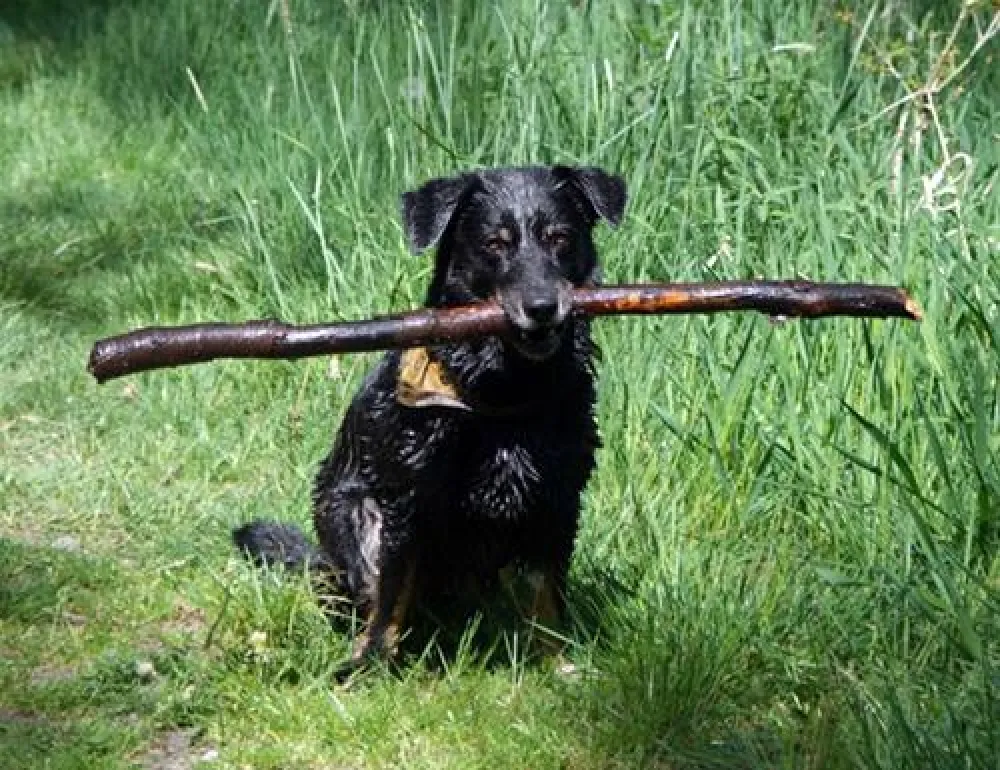 Heidecamping Gerdehaus