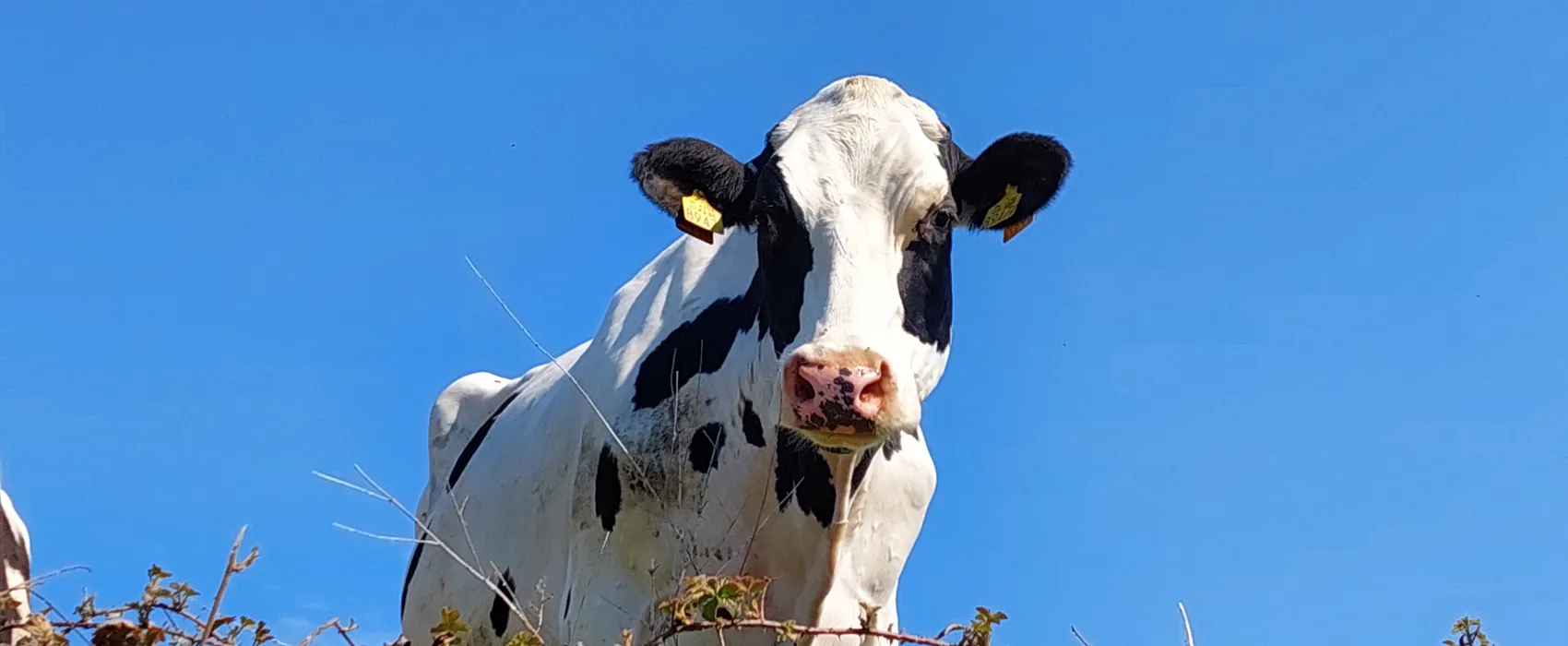 Camping Op Gen Beukelskoel