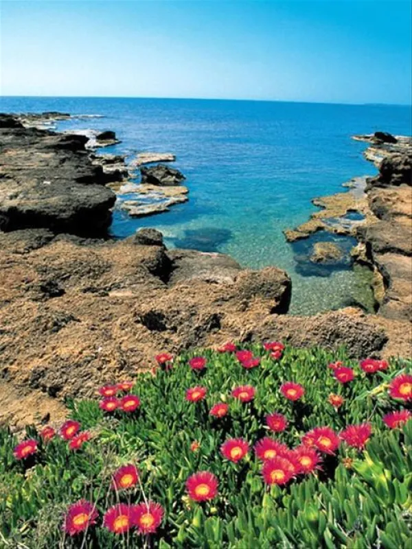 Camping Costa Splendente sul mare