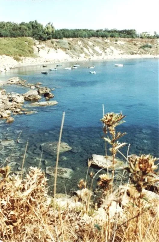 Camping Costa Splendente sul mare