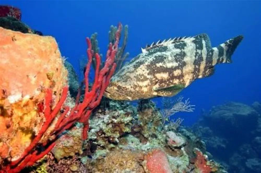 Camping Costa Splendente sul mare