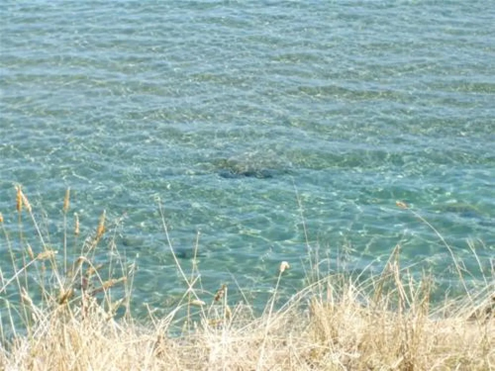 Camping Costa Splendente sul mare