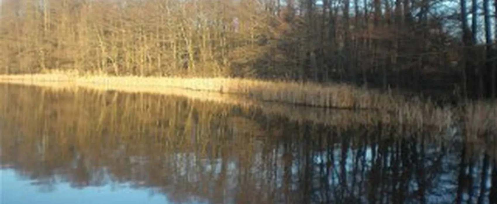 Märchencampingplatz " Zesch "