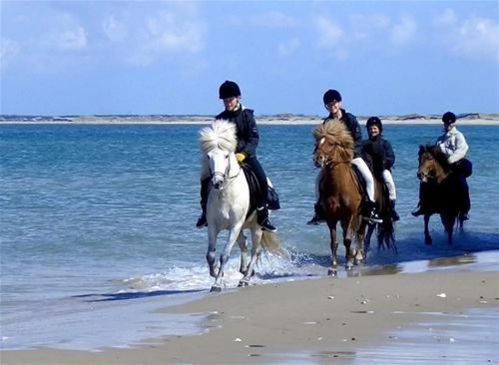 Hanstholm Camping - Thy Feriepark