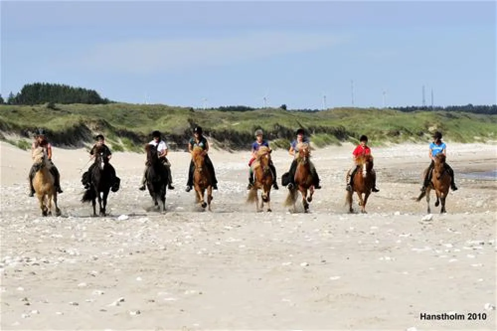 Hanstholm Camping - Thy Feriepark