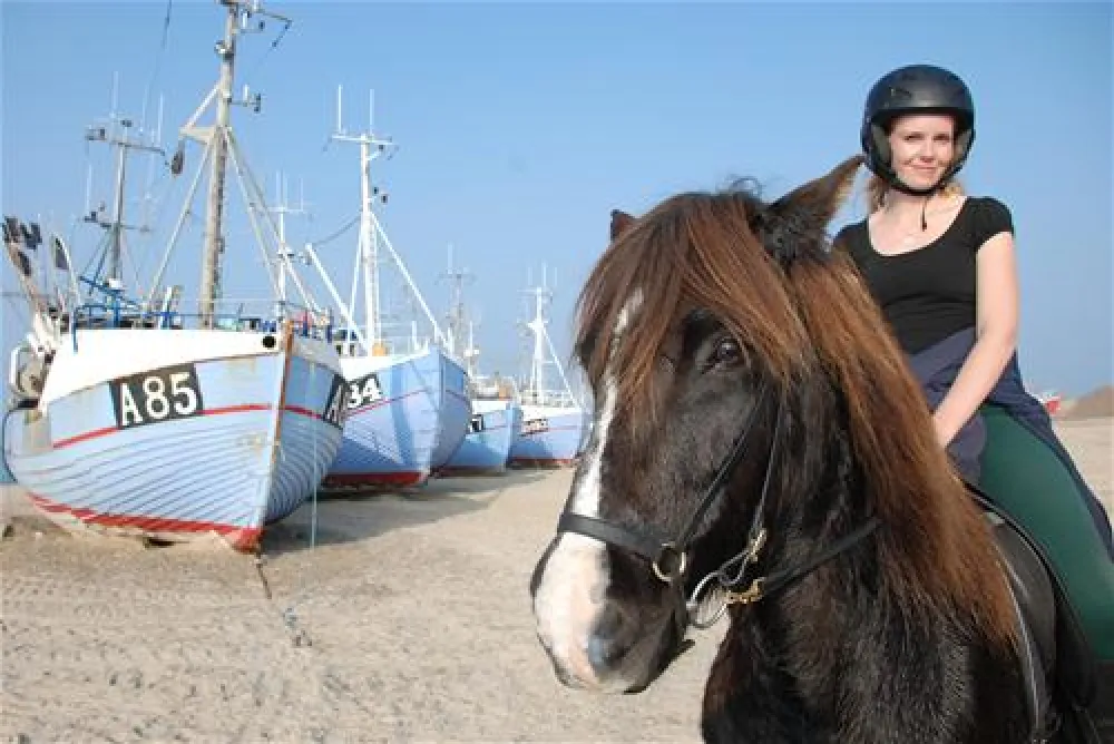 Hanstholm Camping - Thy Feriepark