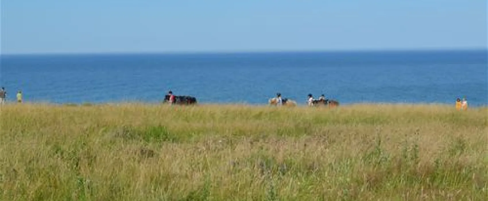 Hanstholm Camping - Thy Feriepark