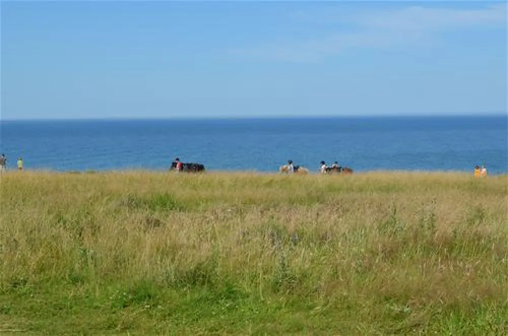 Hanstholm Camping - Thy Feriepark