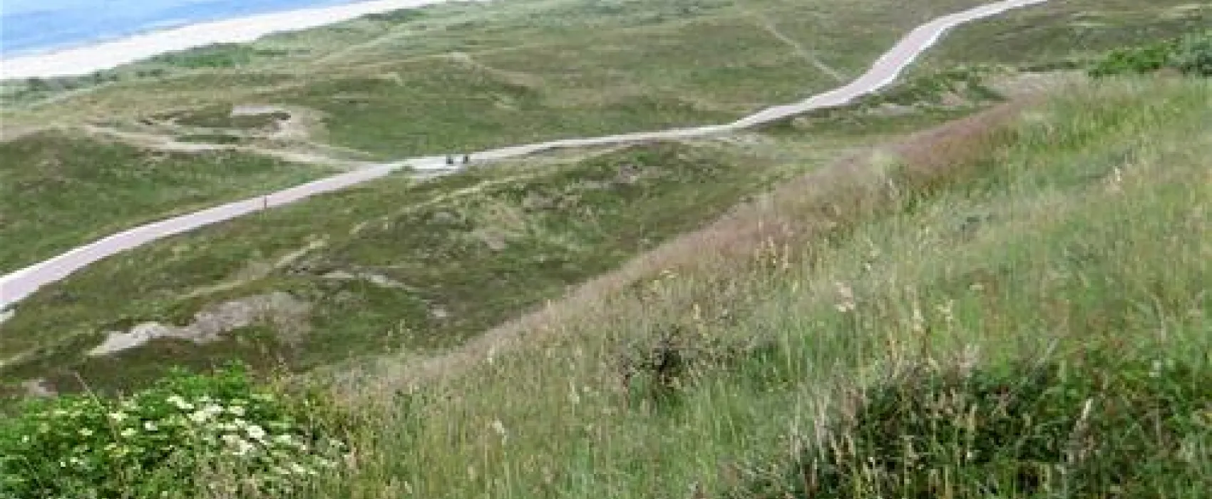 Hanstholm Camping - Thy Feriepark