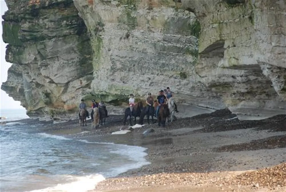 Hanstholm Camping - Thy Feriepark