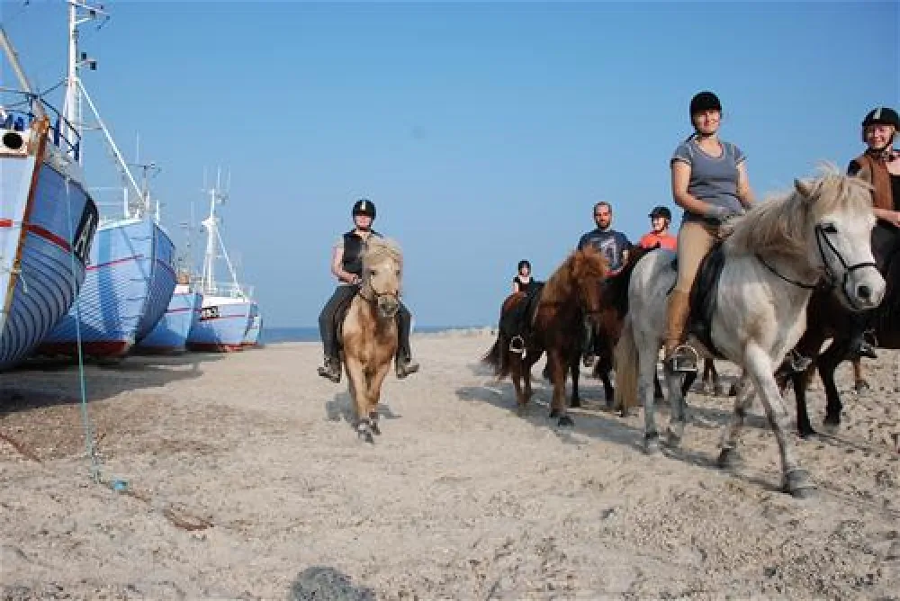 Hanstholm Camping - Thy Feriepark