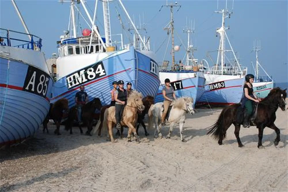 Hanstholm Camping - Thy Feriepark