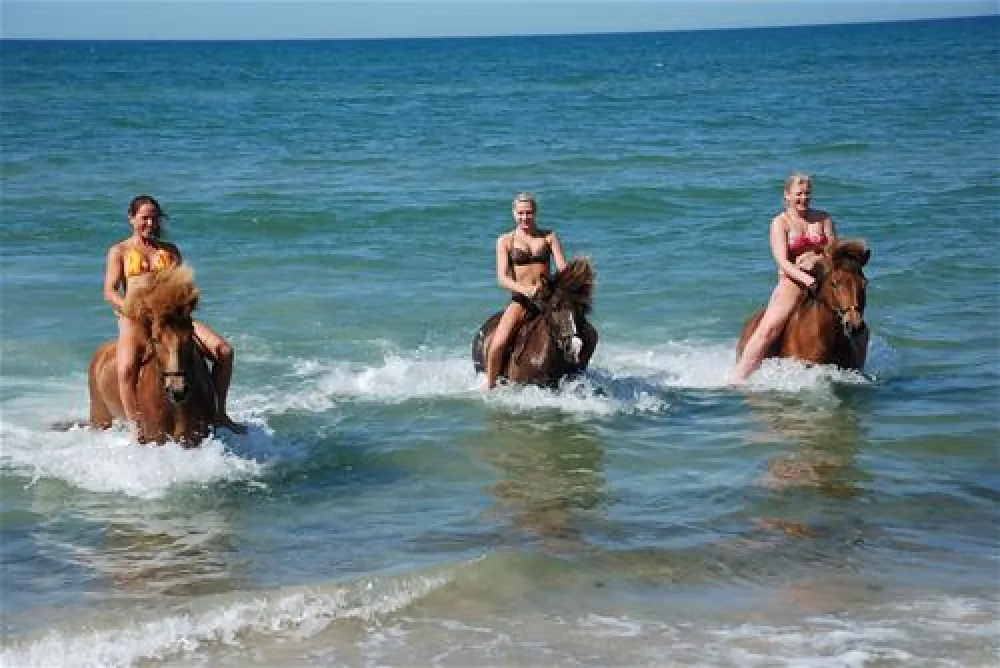 Hanstholm Camping - Thy Feriepark