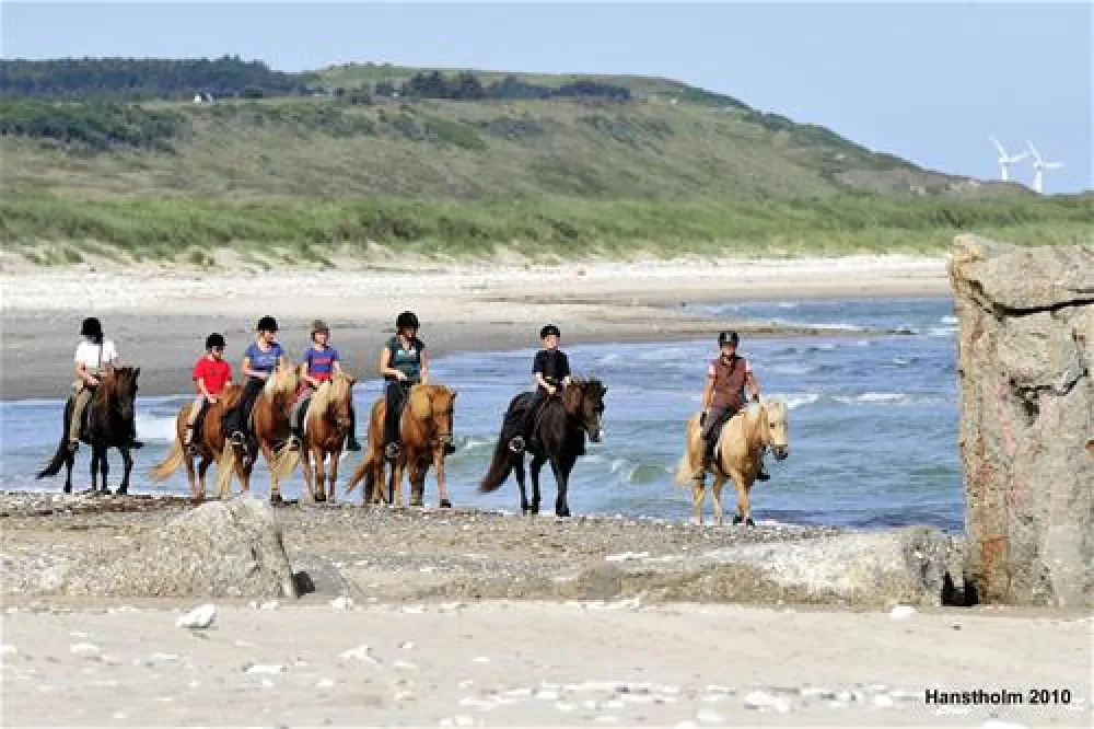 Hanstholm Camping - Thy Feriepark