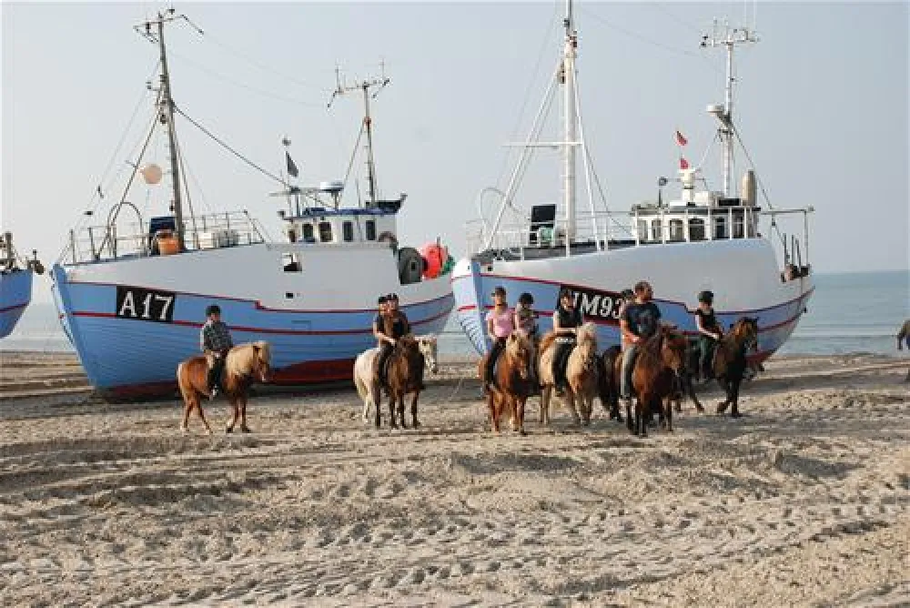 Hanstholm Camping - Thy Feriepark