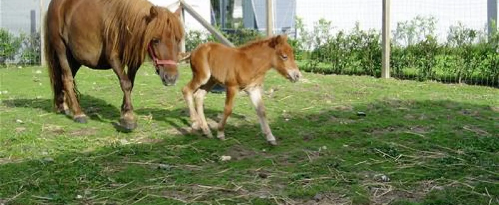 Vejlby Fed Strand Camping