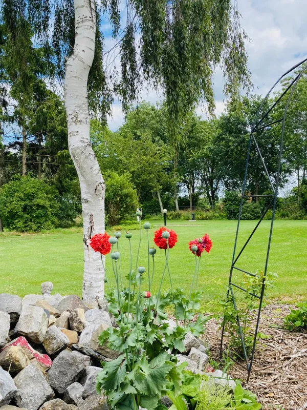 Campingplatz de Peelbloem