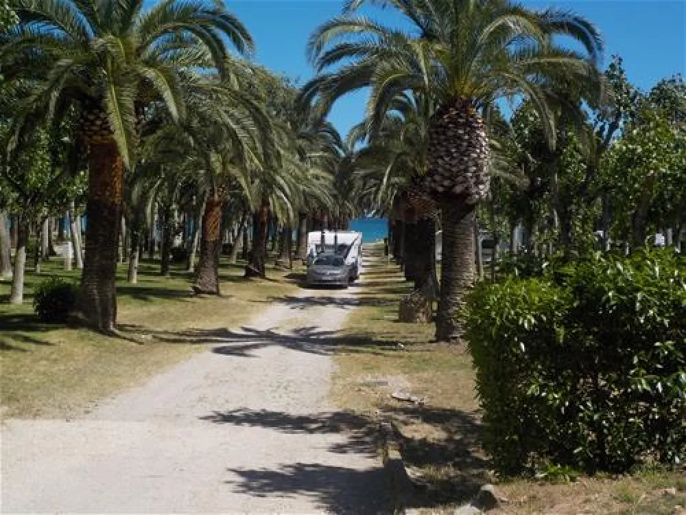 Playa Montroig Camping Resort