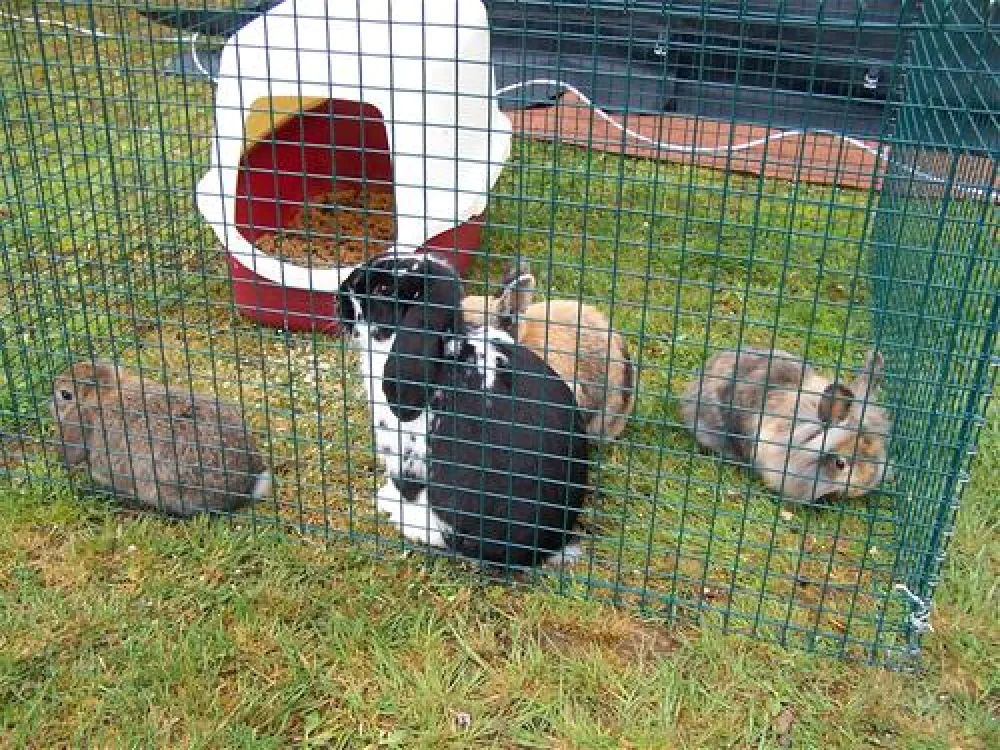 Knaus Campingpark Viechtach