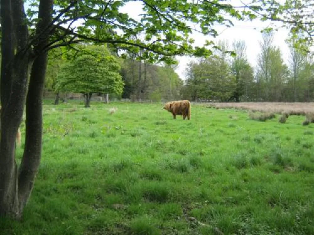 Mortonhall Caravan and Camping Park