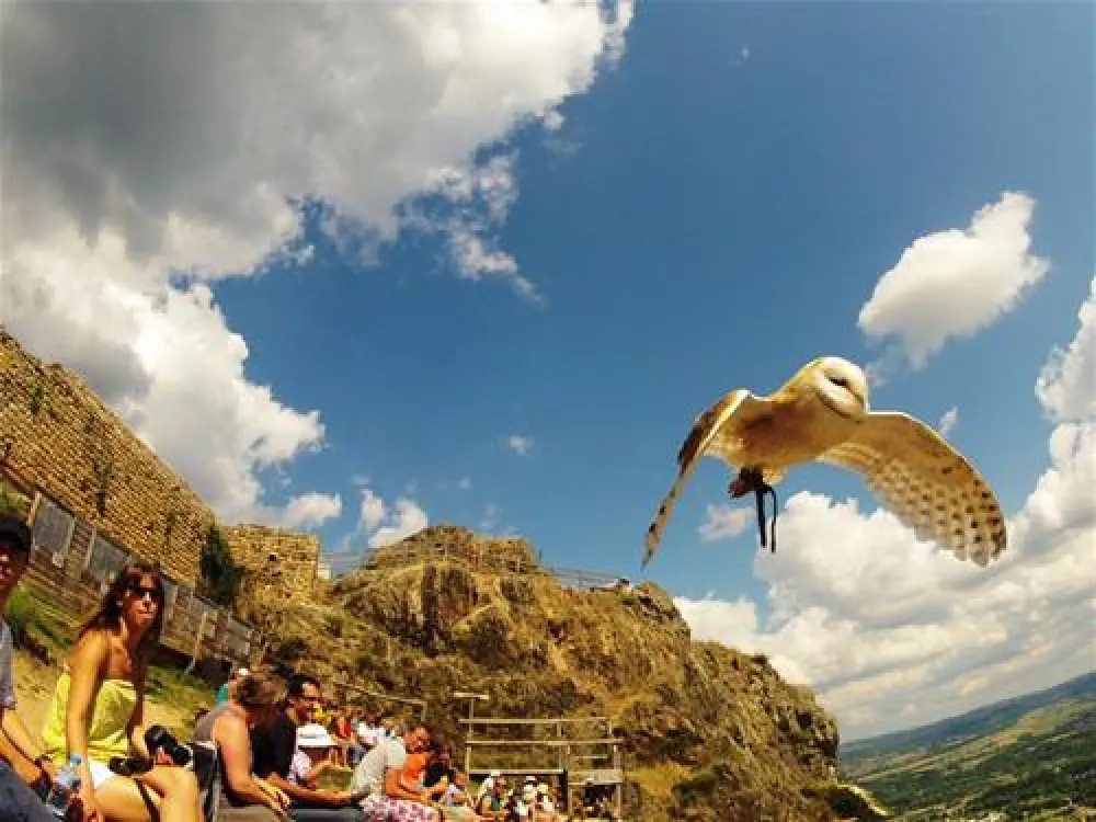 Camping La Fressange