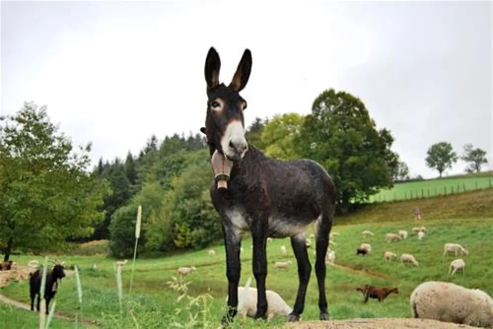 Camping La Fressange