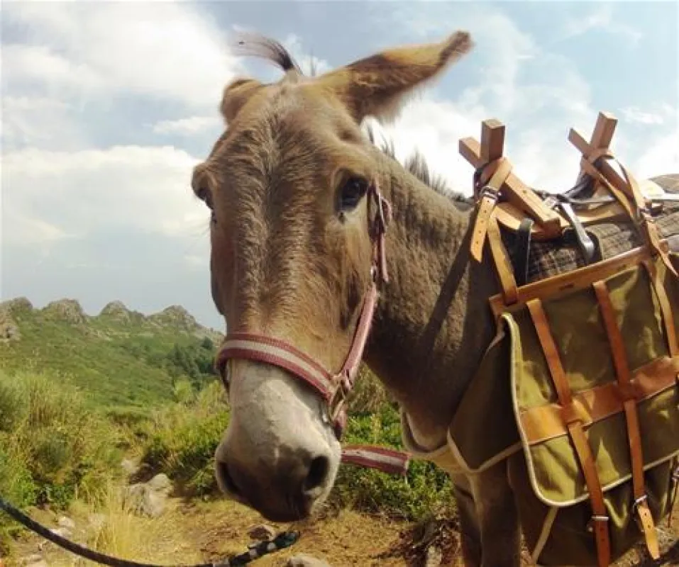 Camping La Fressange