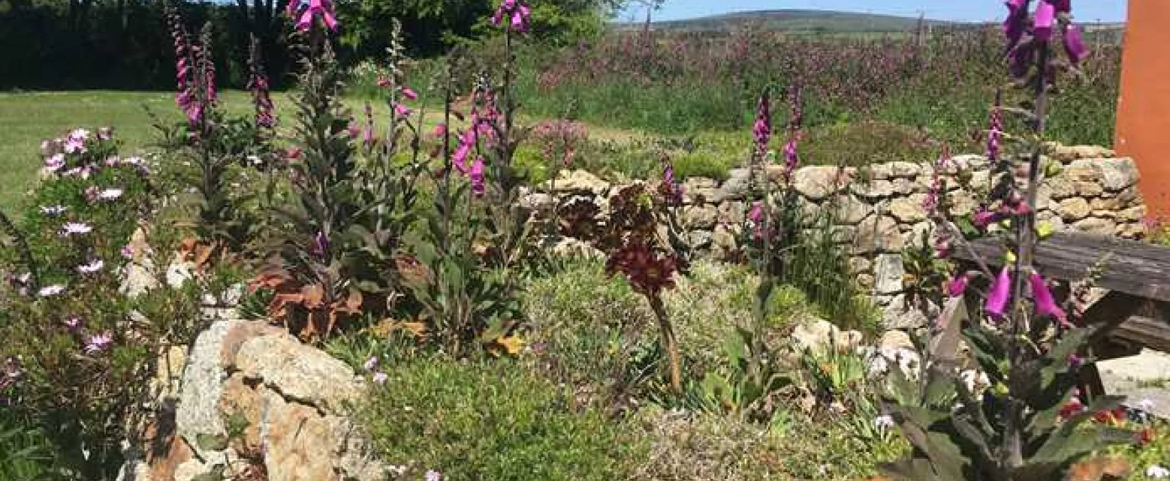 Tower Park Caravans and Camping