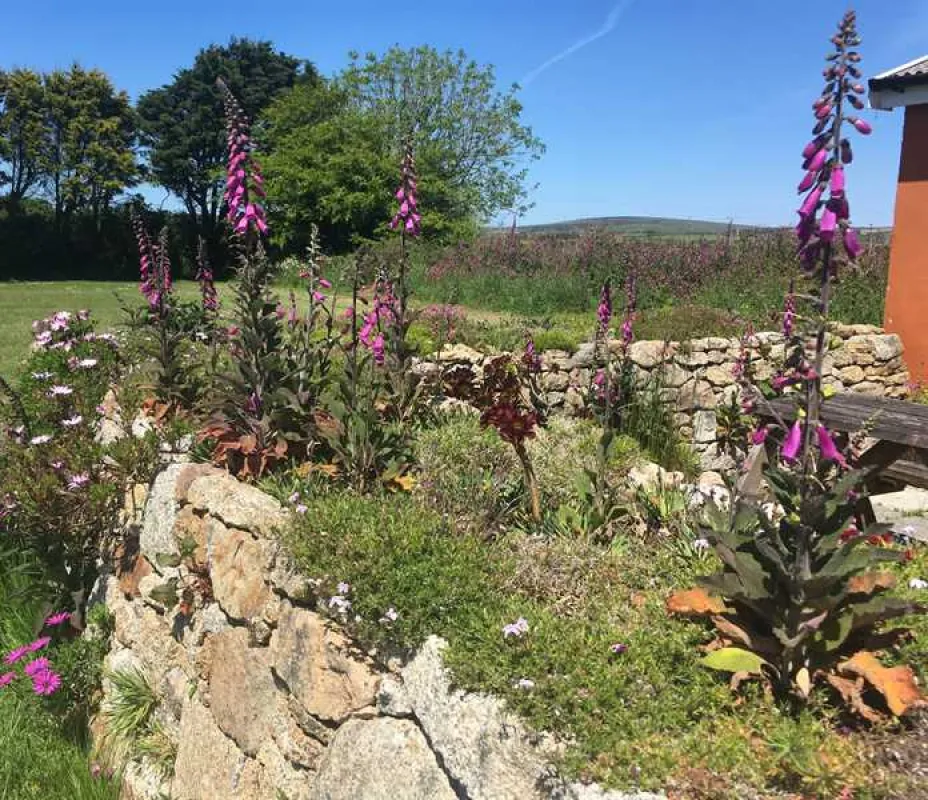 Tower Park Caravans and Camping